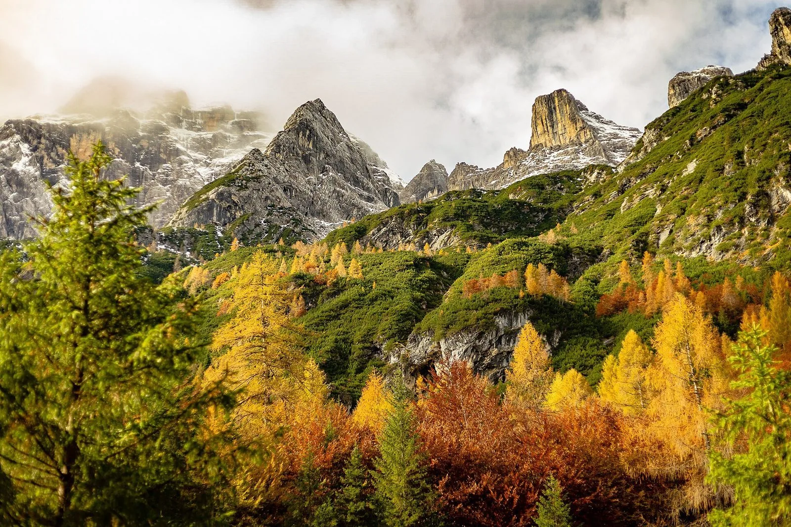 Bosco di larici gialli e arancioni in autunno ai piedi di cime dolomitiche spruzzate di neve e avvolte dalle nuvole