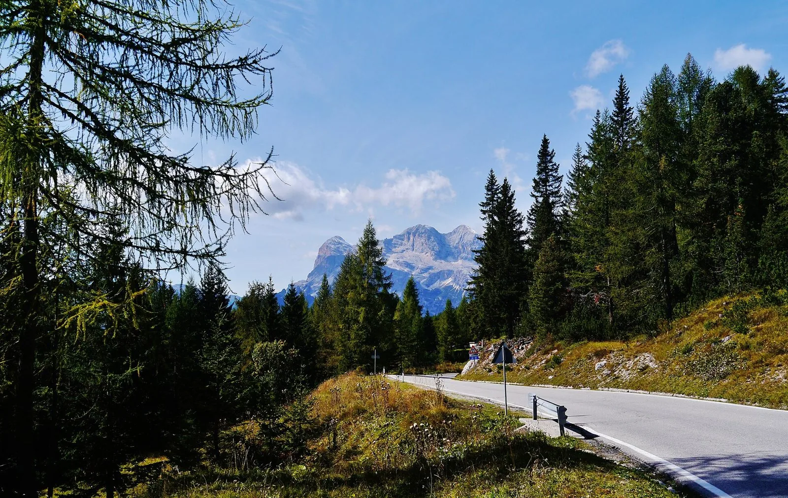 Strada di montagna tra larici e abeti al Passo Tre Croci, con le Tofane sullo sfondo