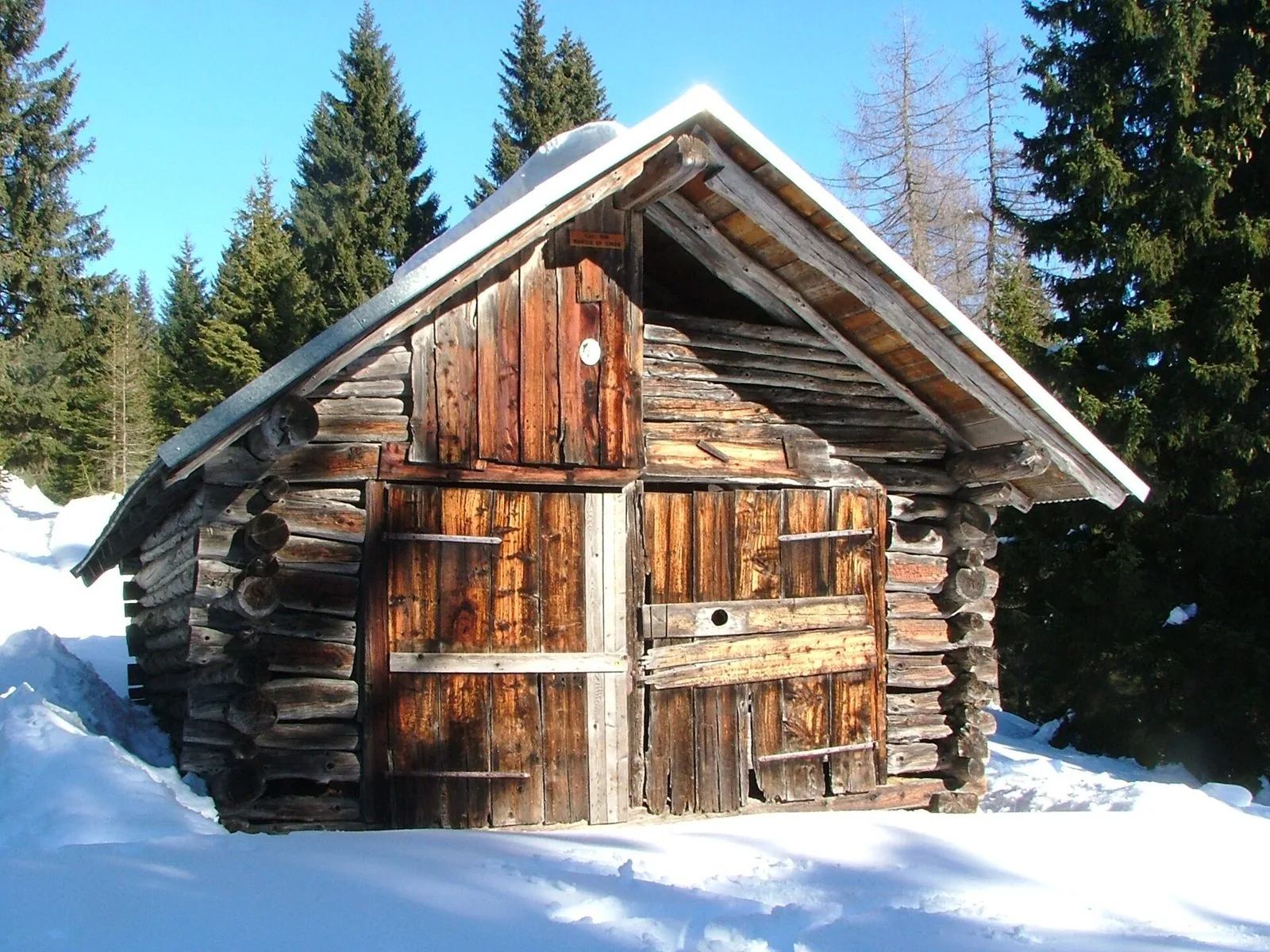 Antico tabià in tronchi di legno con il tetto innevato, circondato da abeti in una giornata d’inverno